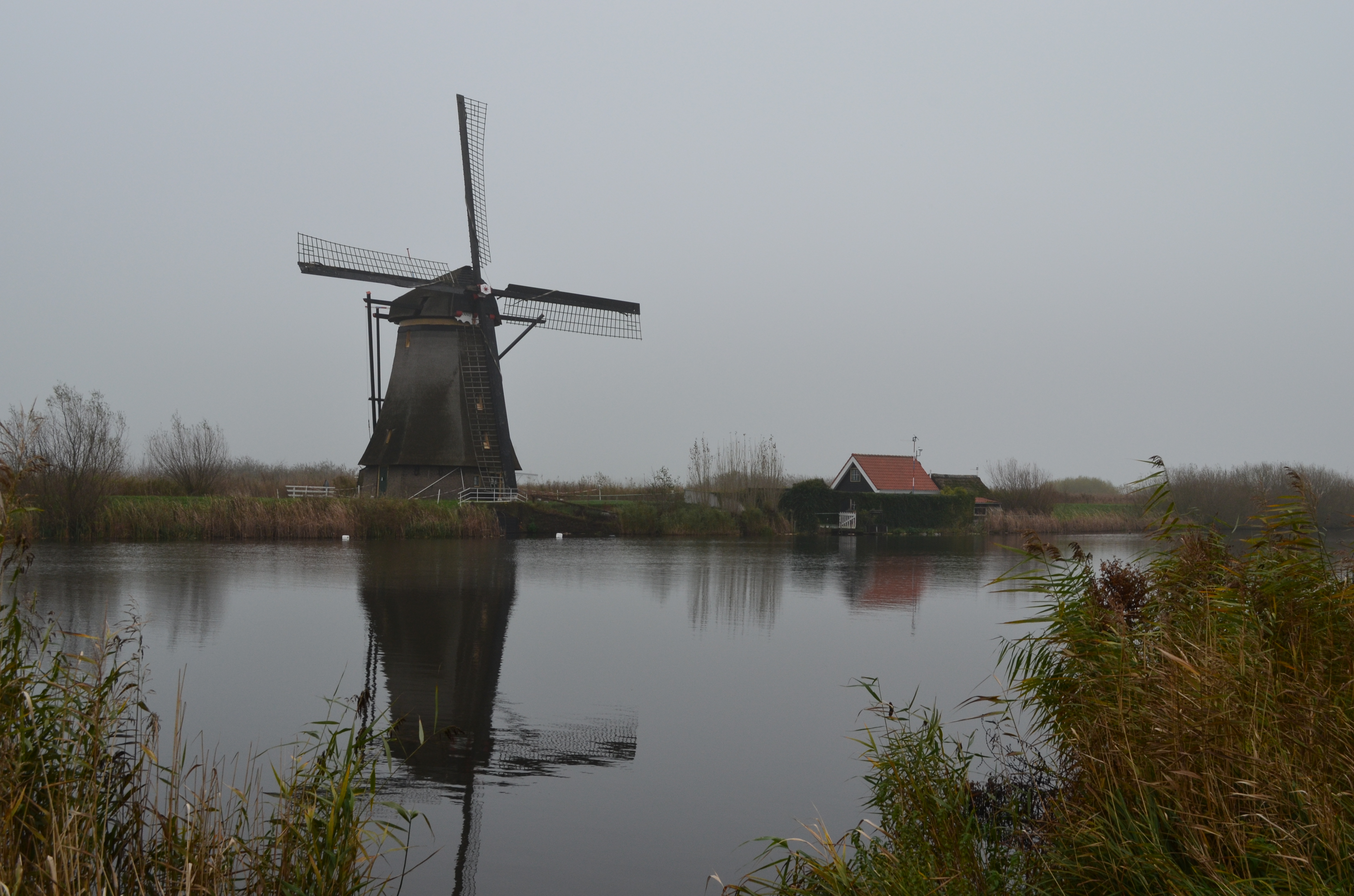 ./2017/19 - Viking Lif/12 - Kinderdijk, The Netherlands/DSC_0287.JPG